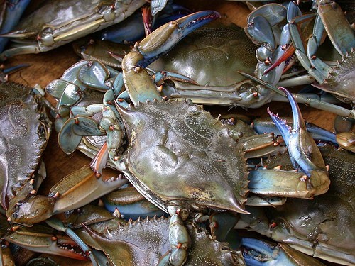 Outer Banks Blue Crabs from Ten O Six Beach Road Bistro