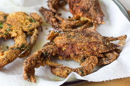 Local Outer Banks Soft Shell Crab Sandwich in Kill Devil Hills