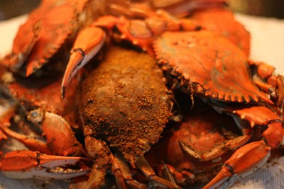 Steamed Local Outer Banks Blue Crabs